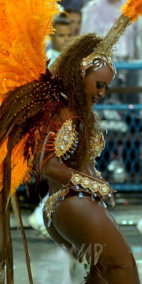 Alluring Latinas in sexy costumes expose their hot curves at the Rio Carnival