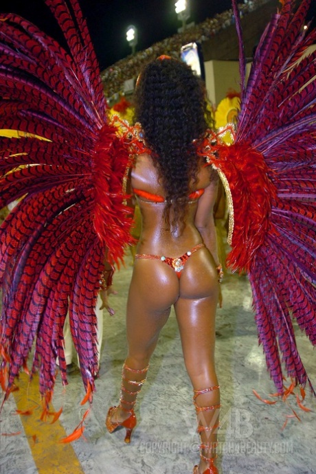 Alluring Latinas in sexy costumes expose their hot curves at the Rio Carnival