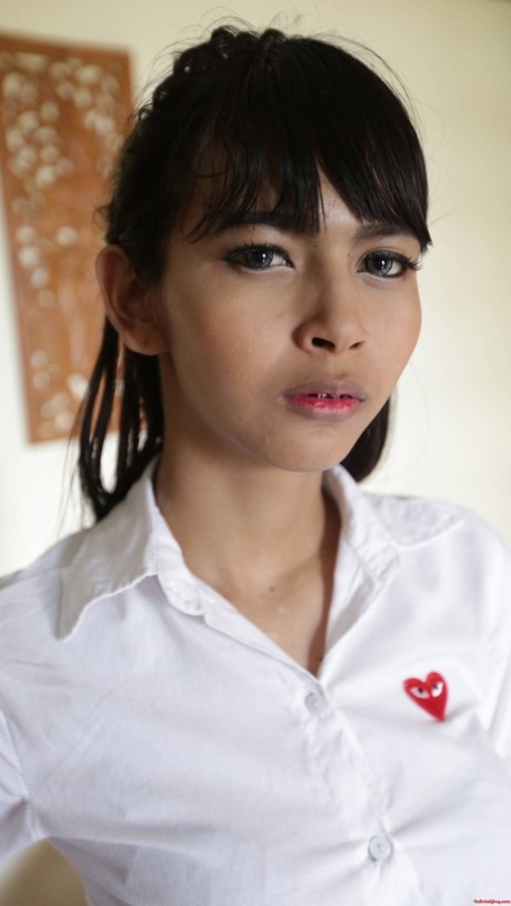 Hello Ladyboy